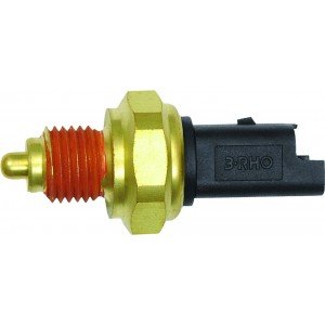 INTERRUPTOR DE RÉ PICAS 2.0 PEUG.206 1.0