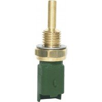 SENSOR DE TEMPERATURA 206/307/C5/C8/LAGUN