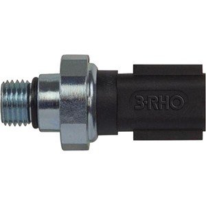 INTERRUPTOR DE ÓLEO CAM VW/CARG/F250/400